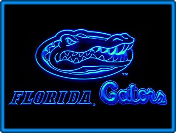 Florida Gators American Football LED Light