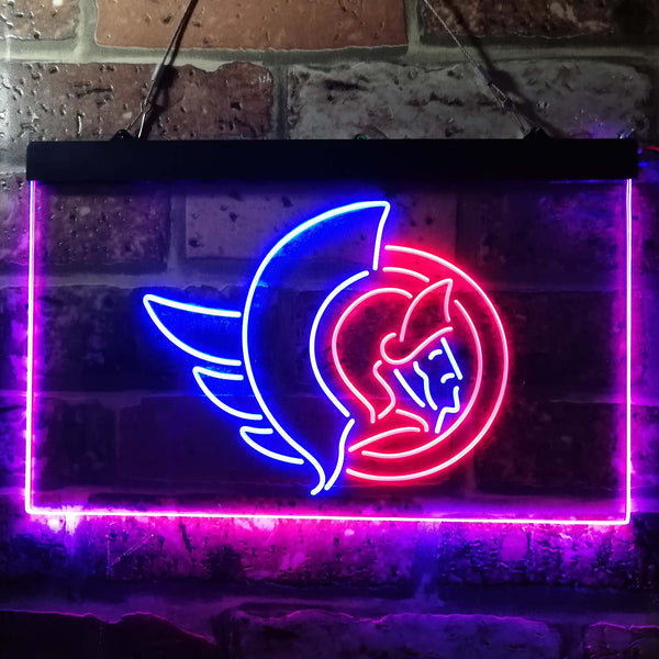 Ottawa Senators Led Light